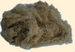 Natural insulation in hemp