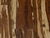 Green buildings: solid hardwood floors