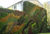 Outdoor greenwall