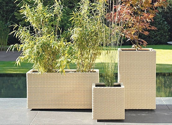 planter