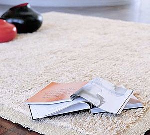 rug