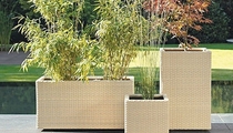 planter