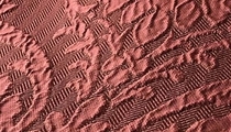 silk fabric