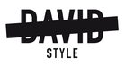 David Style logo