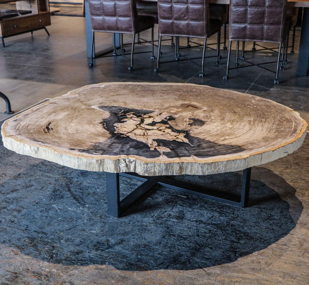 Contemporary Coffee Table Unik Petrified Wood Metal Base Home