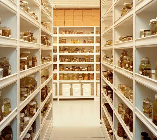 Standard Shelving Archival Storage Metal 4 Post Bradford Standard Shelving Archival Storage Metal 4 Post