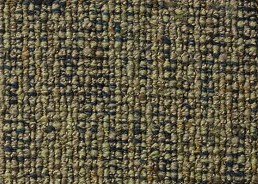 Delano By Royalty Carpet Pattern Residential Nylon Loop Cut Loop Pile