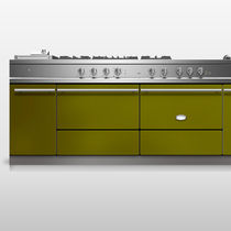 Gas range cooker / electric