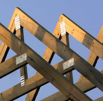 2D/3D computer-aided engineering software CAE: wood structures ROOF & TRUSS GANG-NAIL SYSTEMS