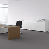 Low filing cabinet / wood veneer / laminate...