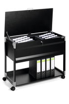 Low filing cabinet / steel / contemporary