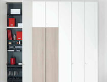 Tall filing cabinet / steel / with hinged...