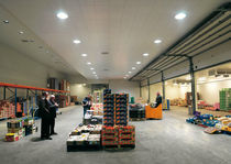 acoustic metal suspended ceiling (modular Hinge-Down tiles, concealed grid) CLIP-IN 45&deg; CEILUX