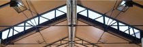 acoustic wooden suspended ceiling SCREENBALL&reg; PREAM s.r.l