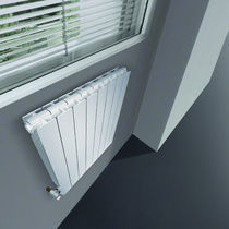 aluminium horizontal hot-water radiator PL  RAGALL