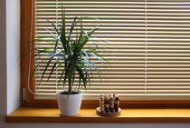 aluminium venetian blind IMAGE 1 Servis Climax a.s.