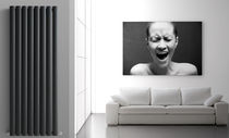 aluminium vertical hot-water radiator BLOWER HOX