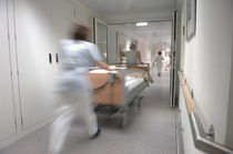 antimicrobial PVC wallcovering BIOCOTE&reg; BioClad Hygienic Wall Cladding