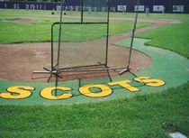 artificial grass for outdoor sports grounds  No Fault