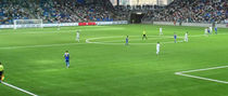 artificial grass for sports grounds: football  SOCCER PRO MAX S LIMONTA SPORT