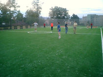 artificial grass for sports grounds: football GREENTIME Artimex Sport