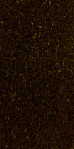 bathroom stone tile LAVICA: AMBRA SCURO Lifetile