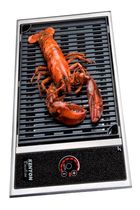 built-in electric grill B70061AU Kenyon