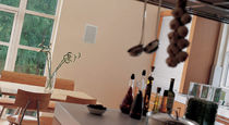 built-in speaker IW TANNOY
