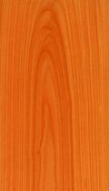 certified wood veneer (PEFC, FSC-certified) EUROPEAN CHERRY Kuiper Dutch Marine Panels