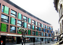 cladding brick (exterior)  Pyrolave