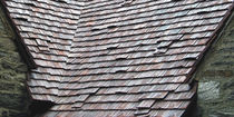 clay flat roof tile ANTIQUE Ludowici