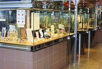 commercial display case   Formadour