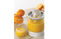 commercial juicer JE290 Kenwood Appliances