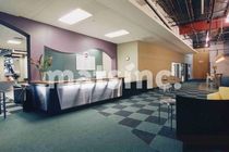 commercial tufted and loop pile synthetic carpet tile DOVER Mats