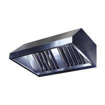 commercial wall mounted extractor hood  Elettrainox