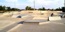 concrete skatepark OVIEDO, FLORIDA TEAM PAIN