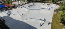 concrete skatepark DUNEDIN, FLORIDA TEAM PAIN