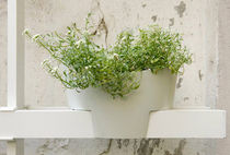 contemporary aluminium wall vase by Toton & AA Viola  Borella design