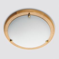 contemporary ceiling lamp (glass) POOM CONTRACT: TREE LUCENTE s.r.l.