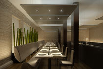 contemporary ceiling lamp APOLLO60_120 PREAM s.r.l