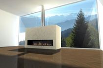 contemporary fireplace (wood-burning closed hearth)  Decor