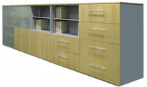 contemporary glass front bookcase  Riviera