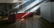 contemporary glass kitchen (lacquered glass)  ALESSI