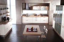 contemporary lacquer / glass kitchen FABIANA CUCINE LUBE