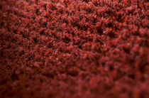 contemporary plain rug in wool AVANT GARDE : TWIN VORWERK