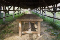 contemporary solid wood table MAXIMUS by Livine ST-PAUL HOME