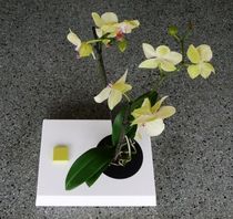 contemporary vase P Vase ccoldsign