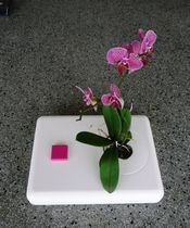 contemporary vase I Vase ccoldsign