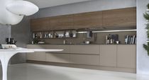 contemporary wood veneer / glass kitchen SYSTEM COLLECTION Pedini