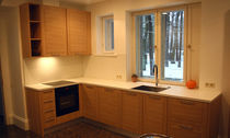 contemporary wood veneer kitchen by Gatis Gavars  Design Group IN